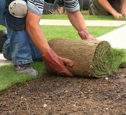 Laying Turf